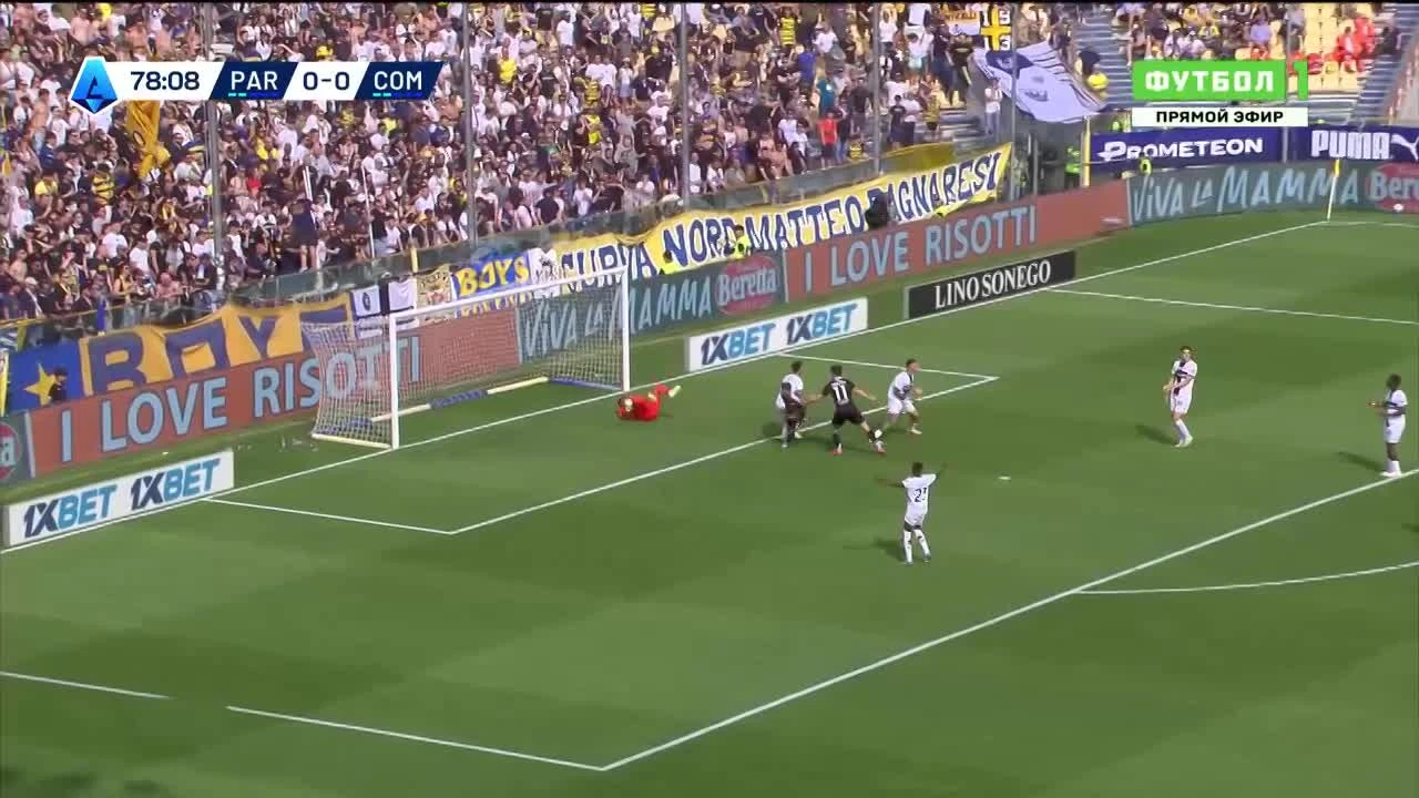zaslepka skrotu video