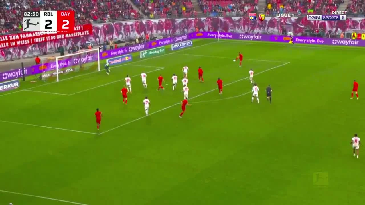 zaslepka skrotu video