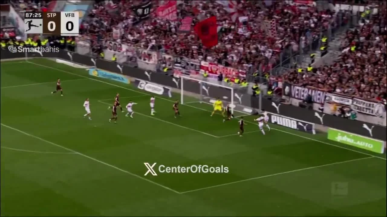 zaslepka skrotu video