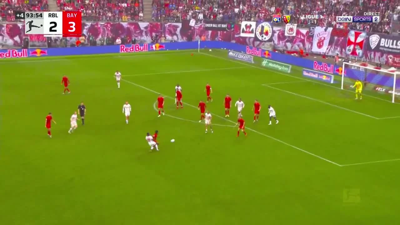 zaslepka skrotu video