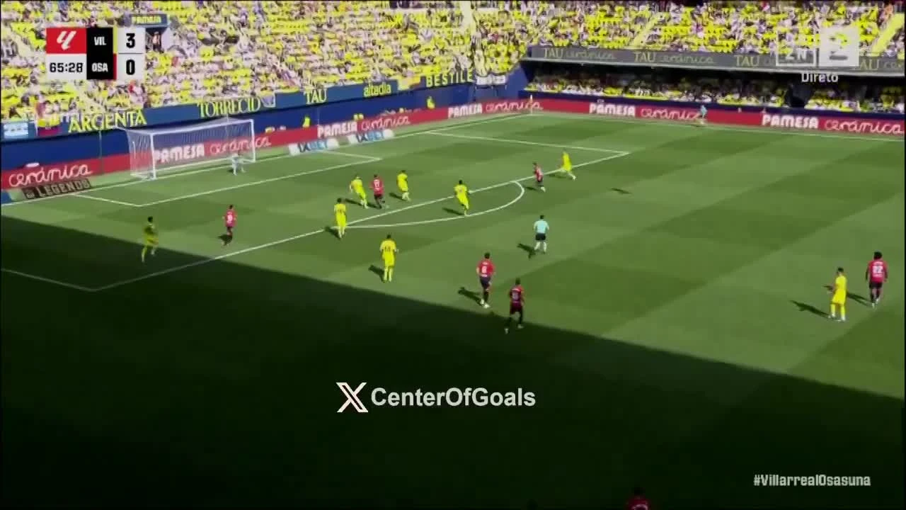 zaslepka skrotu video