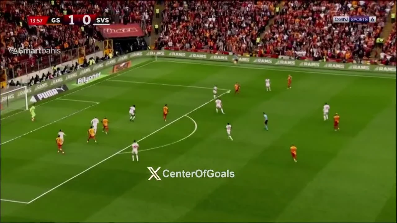 zaslepka skrotu video