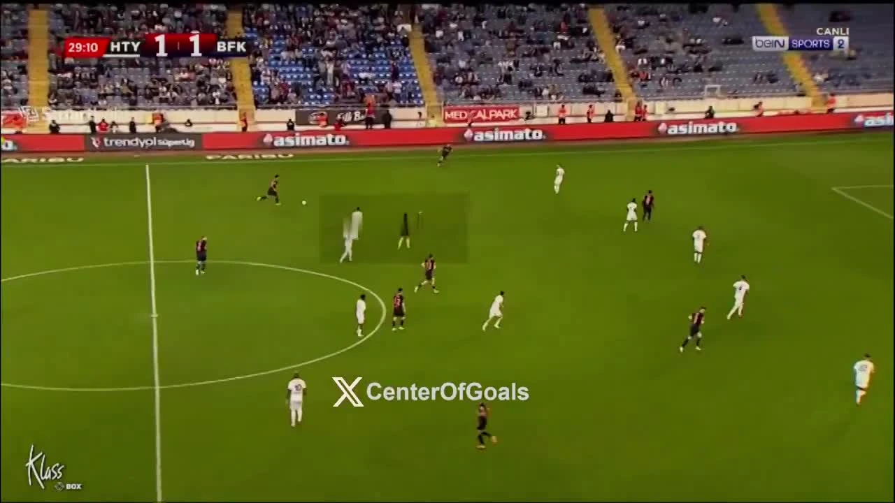 zaslepka skrotu video