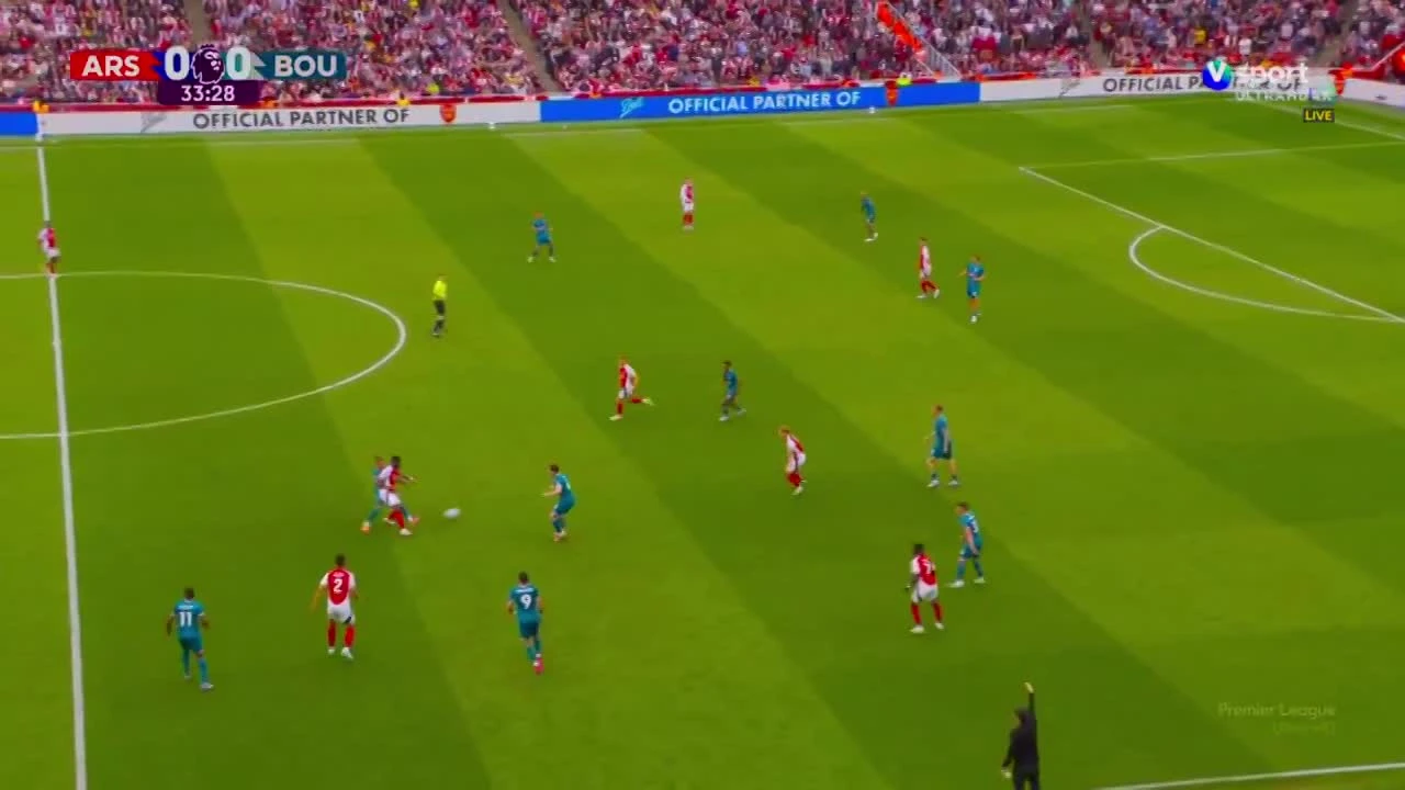 zaslepka skrotu video