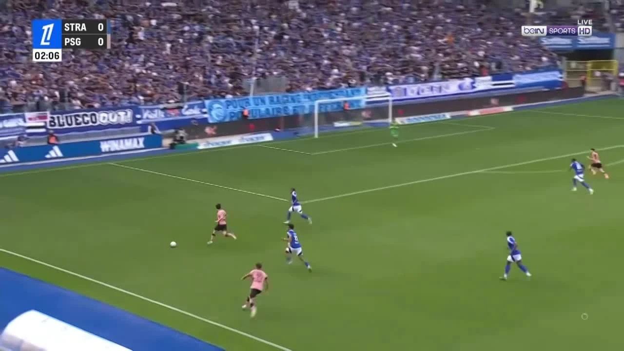 zaslepka skrotu video