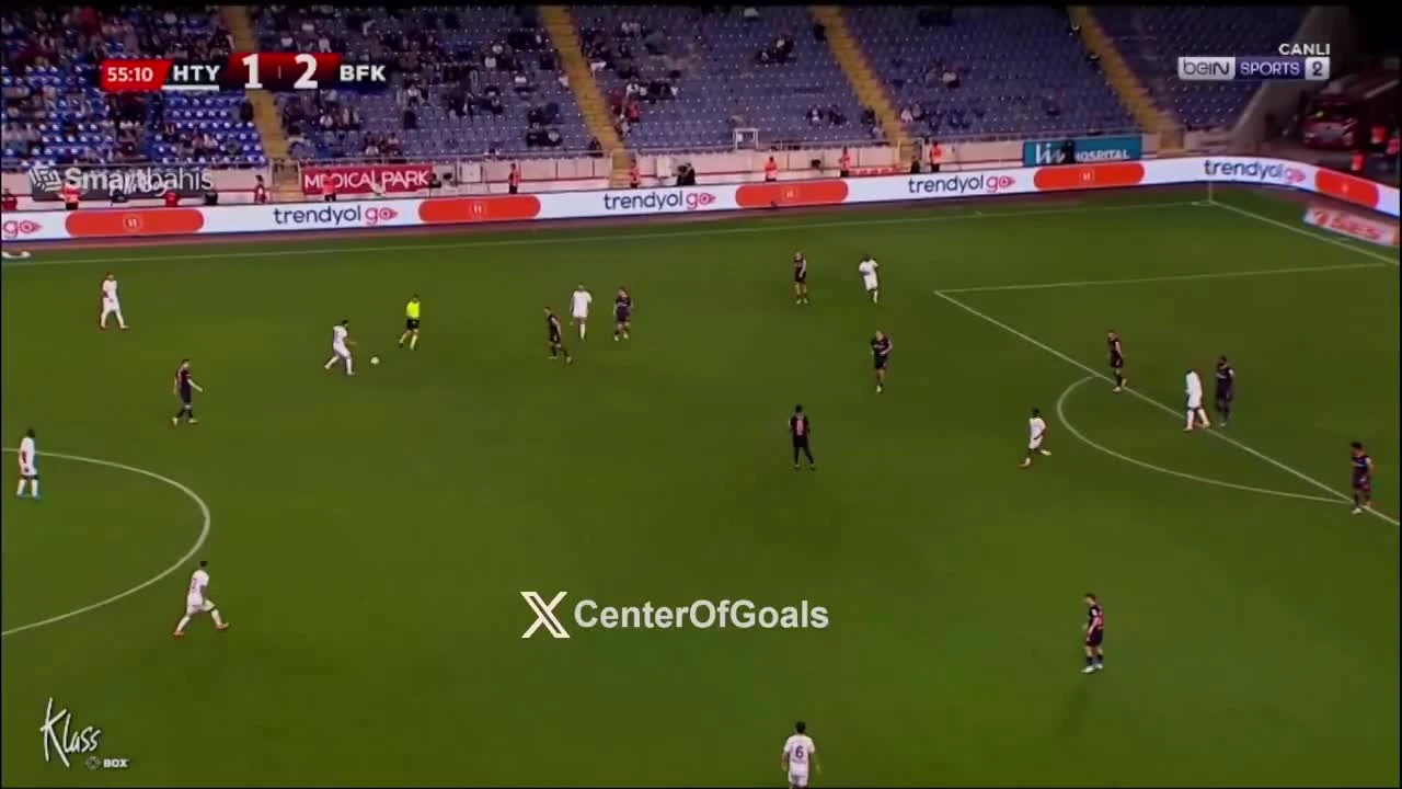 zaslepka skrotu video