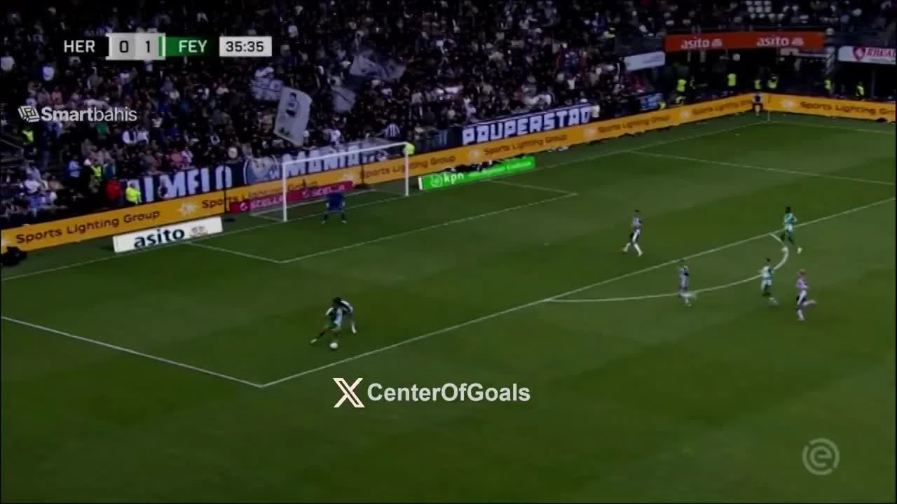zaslepka skrotu video