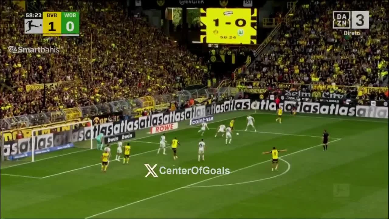 zaslepka skrotu video