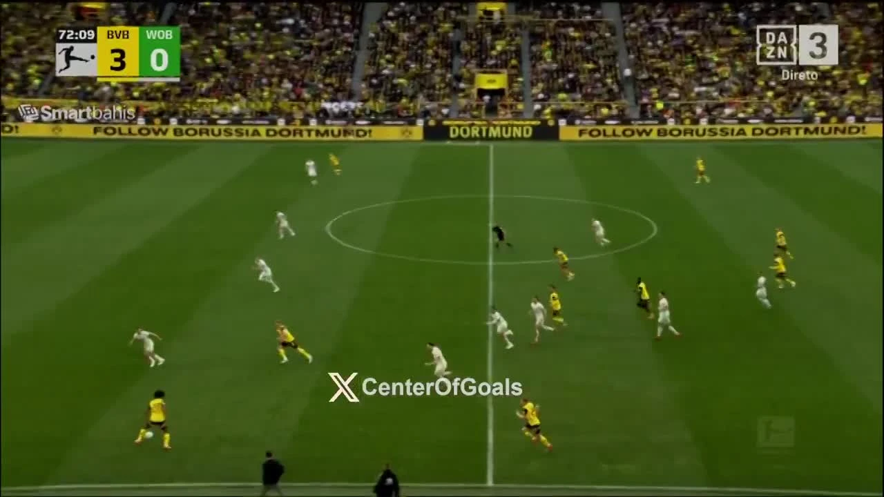 zaslepka skrotu video