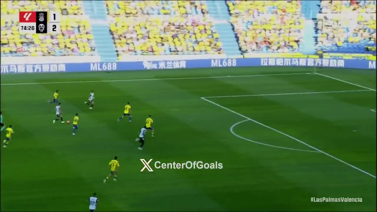 zaslepka skrotu video