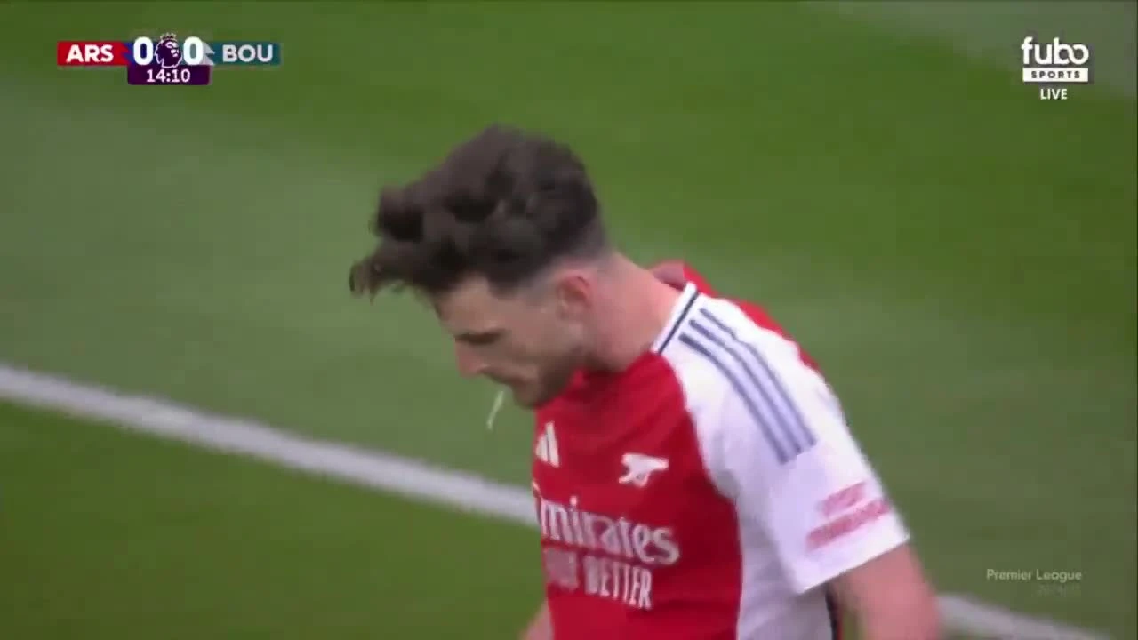 zaslepka skrotu video