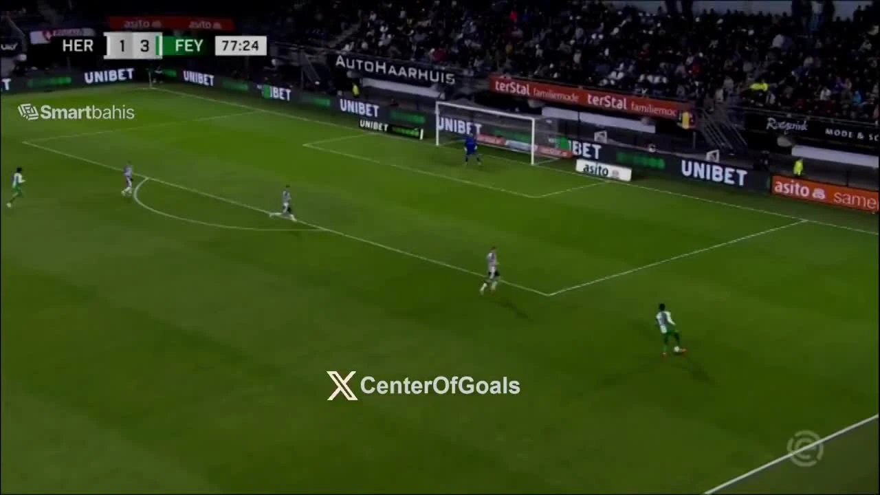 zaslepka skrotu video