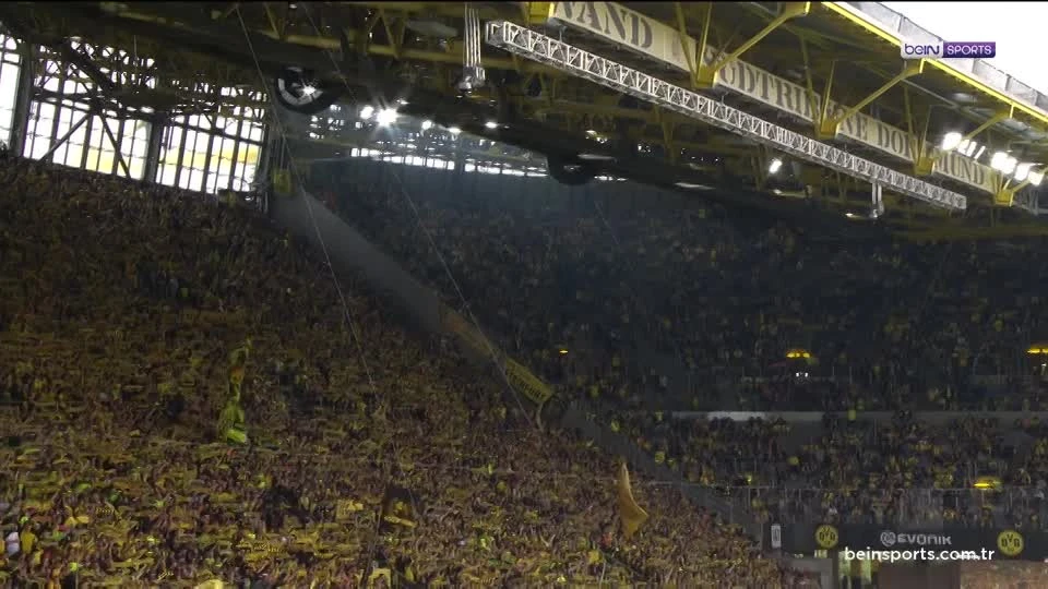 zaslepka skrotu video