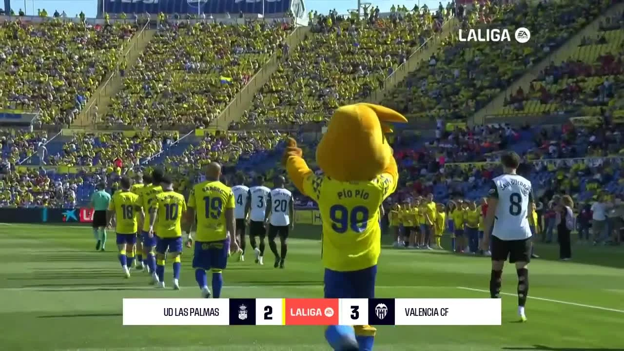 zaslepka skrotu video