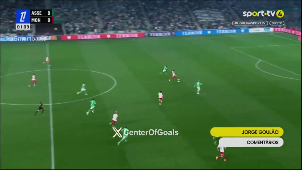zaslepka skrotu video