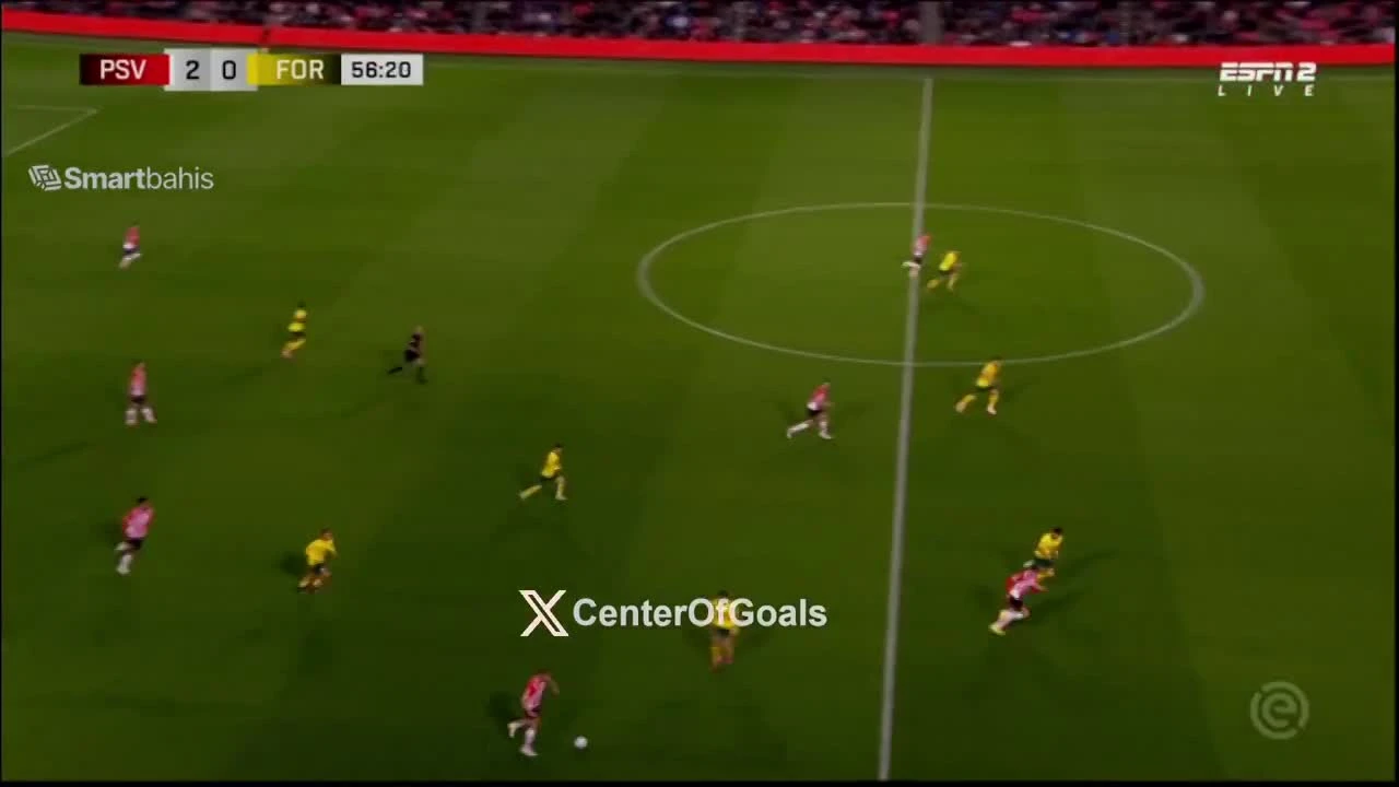 zaslepka skrotu video