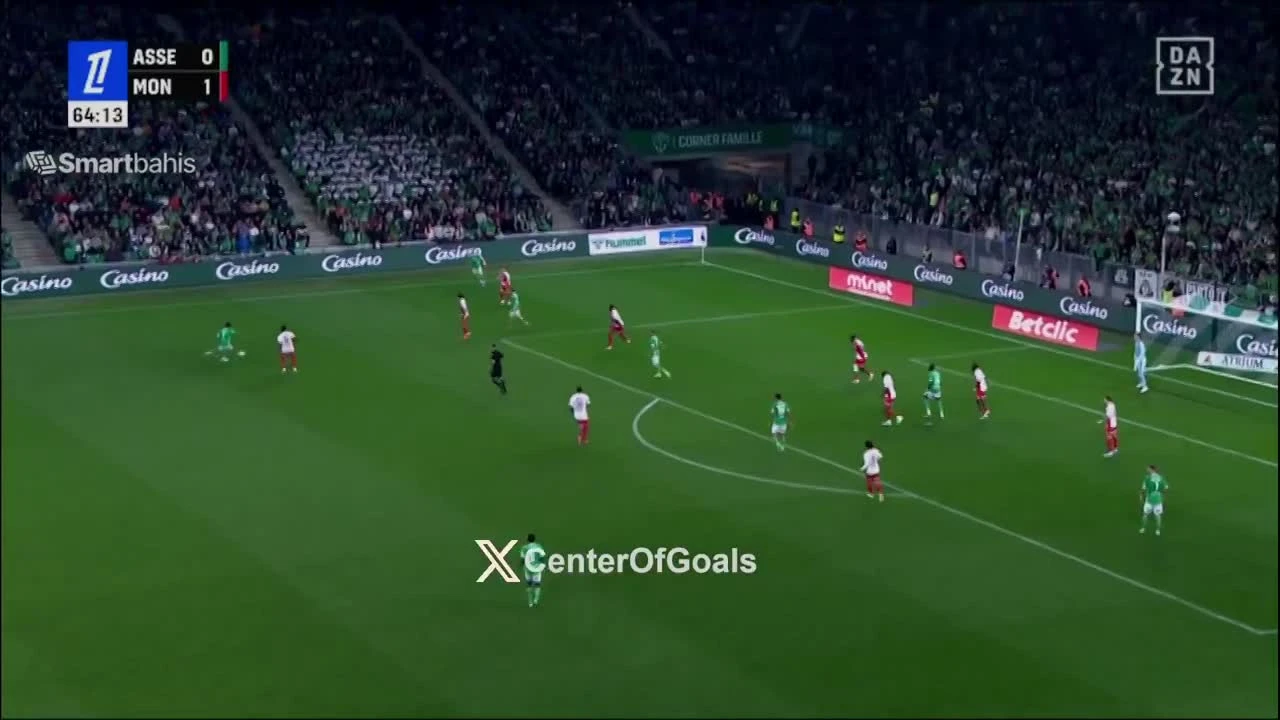 zaslepka skrotu video