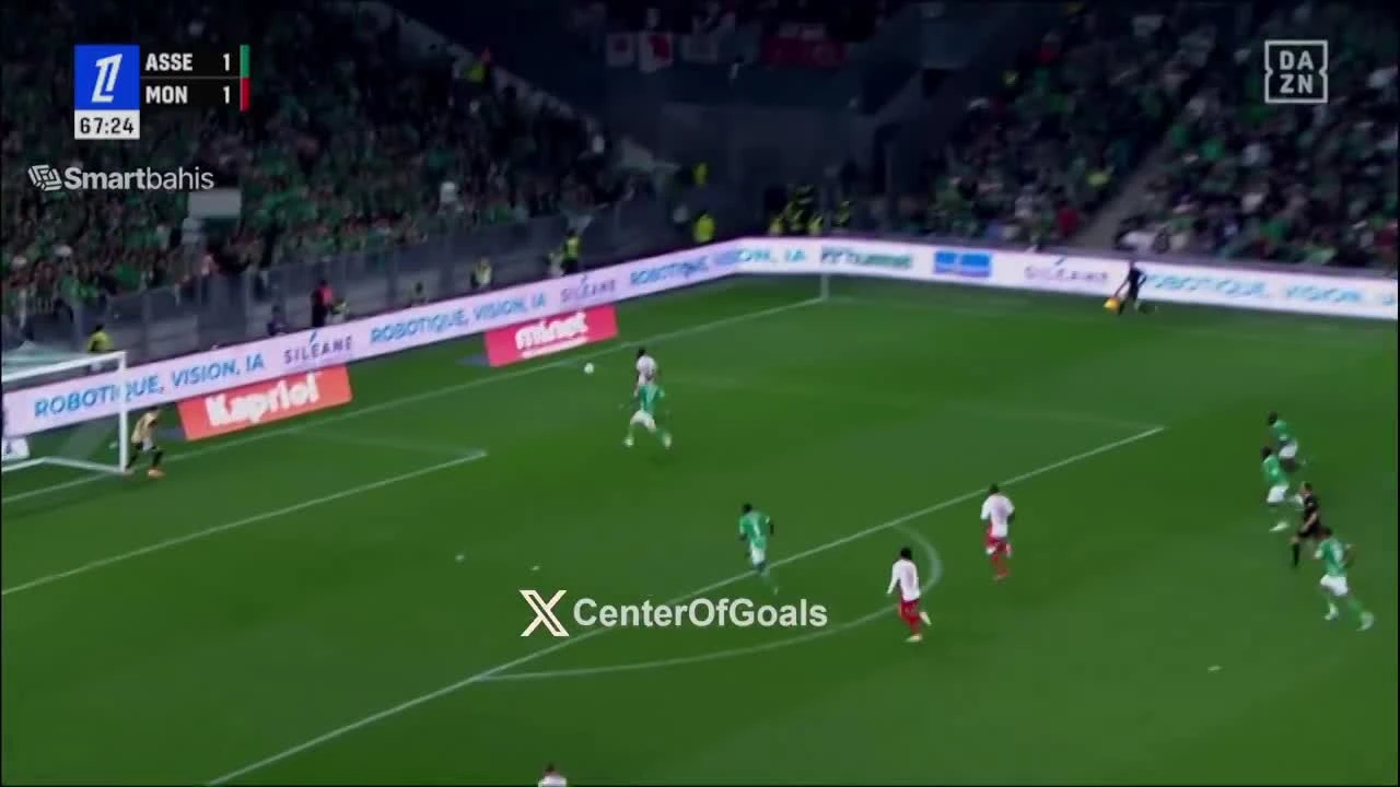 zaslepka skrotu video