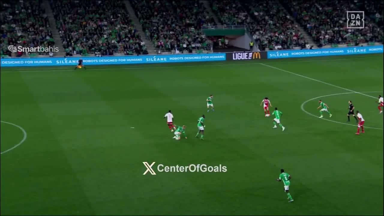 zaslepka skrotu video