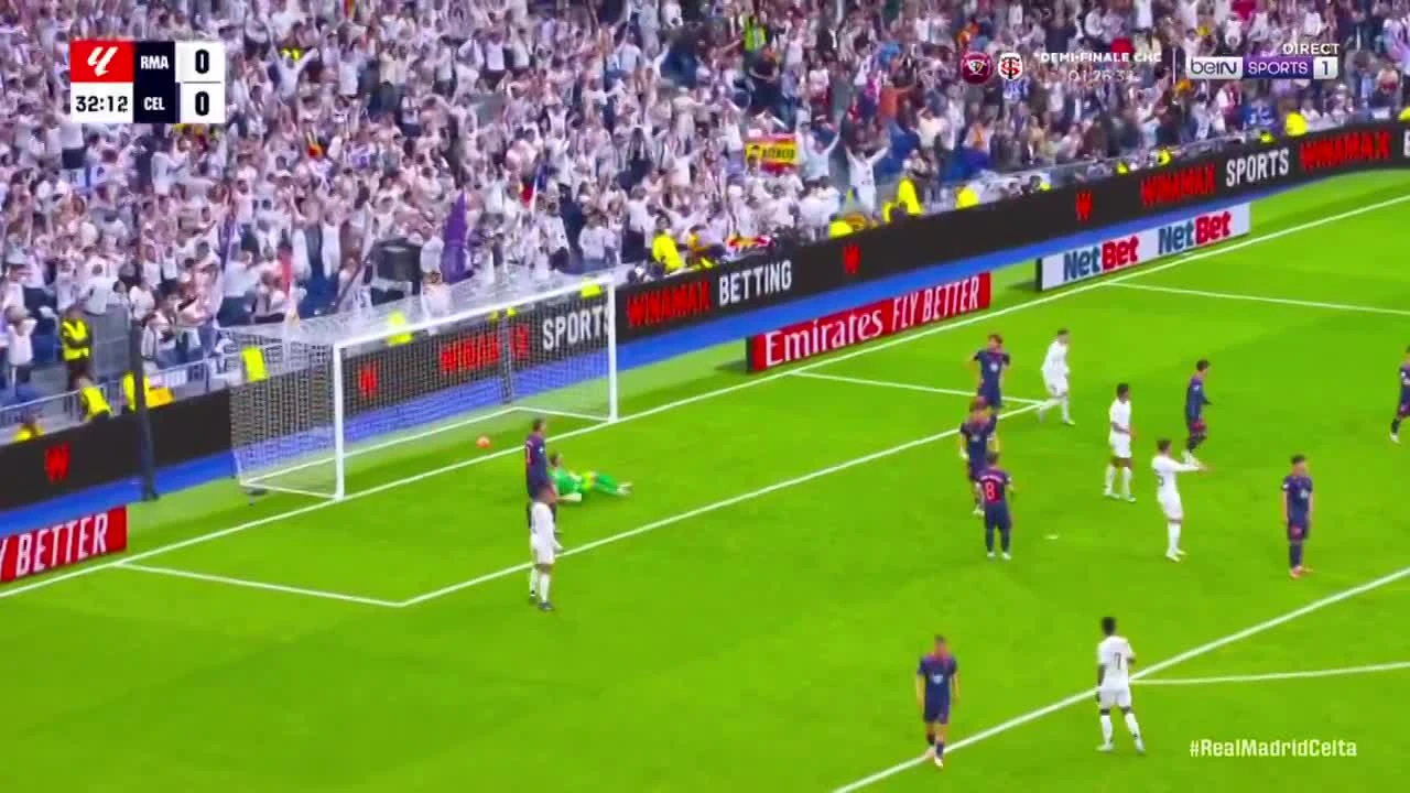 zaslepka skrotu video