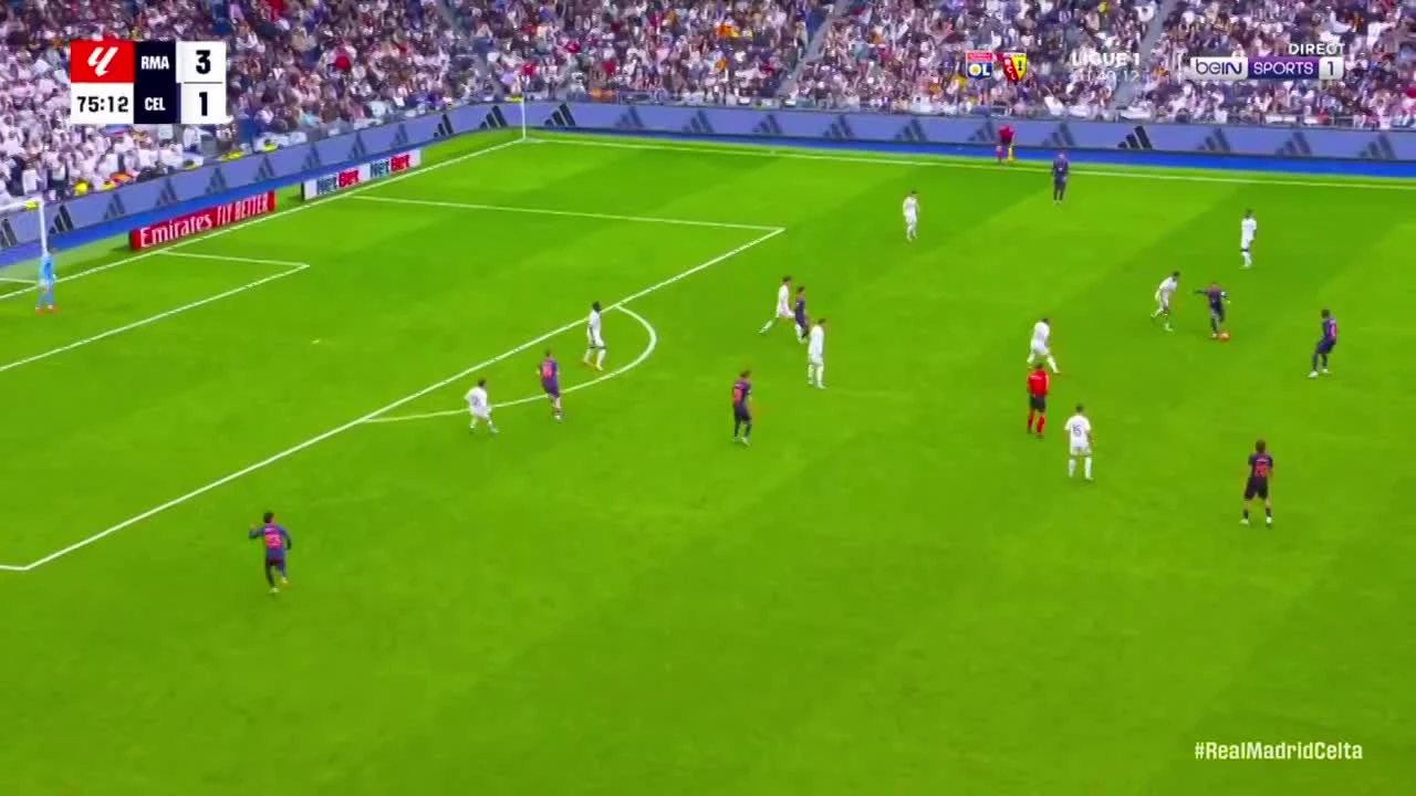 zaslepka skrotu video