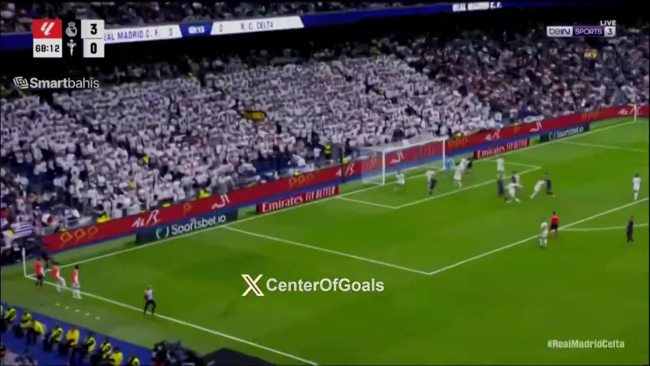 zaslepka skrotu video