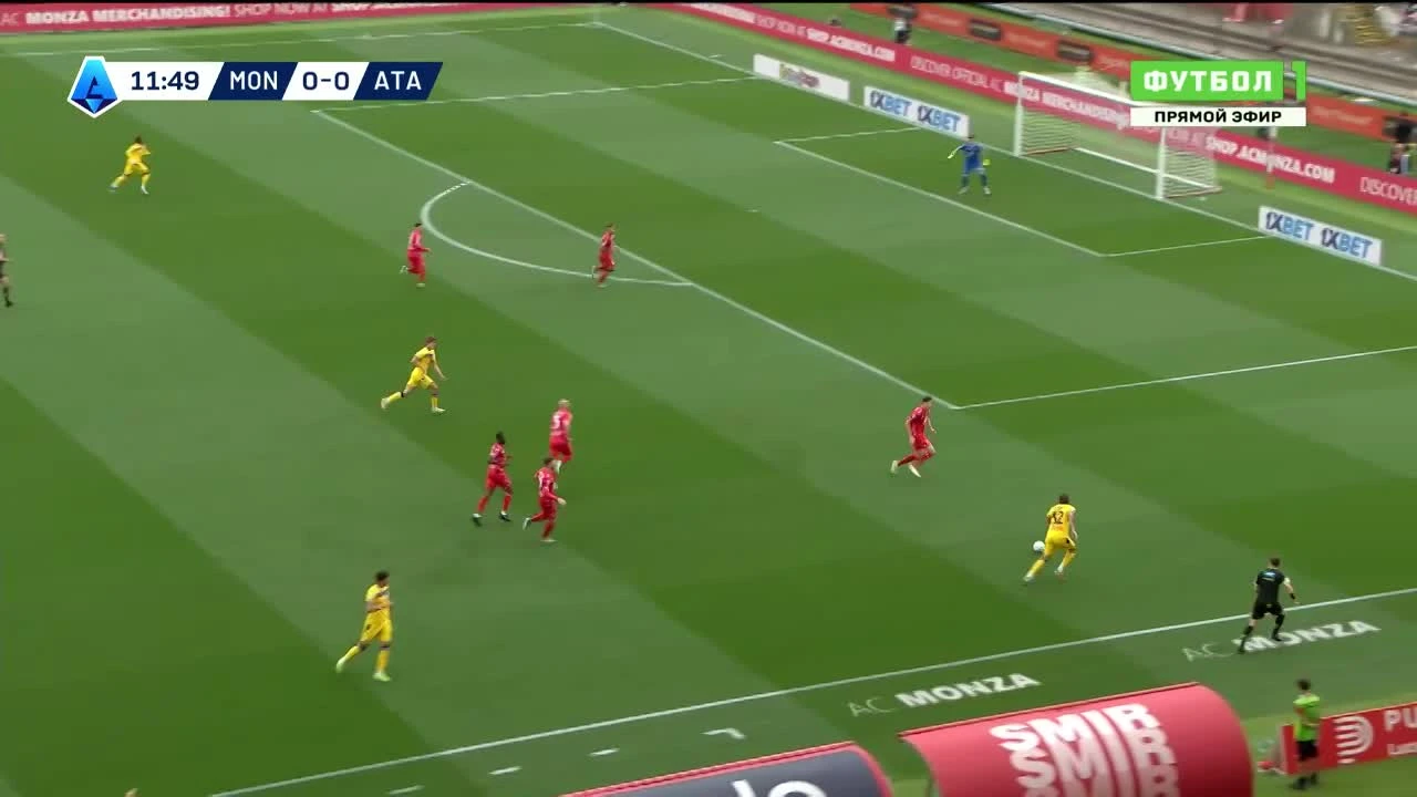 zaslepka skrotu video