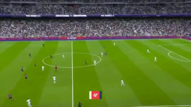 zaslepka skrotu video