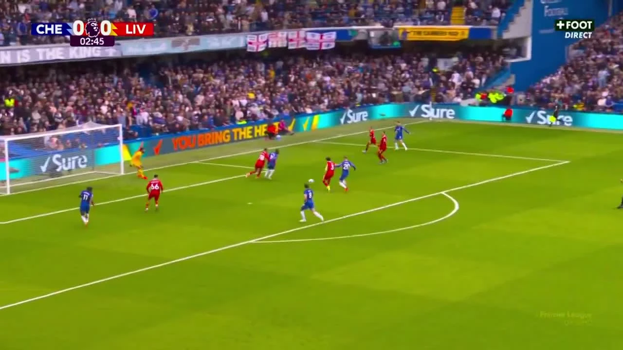 zaslepka skrotu video
