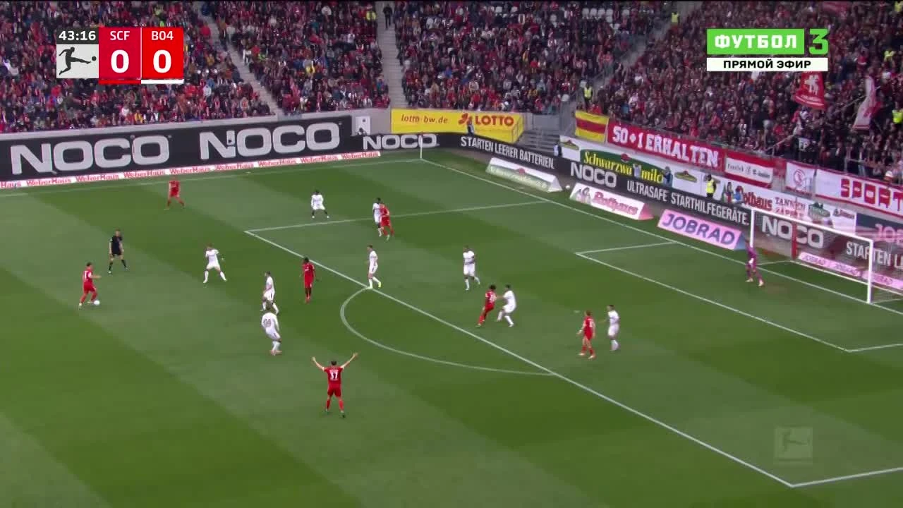 zaslepka skrotu video