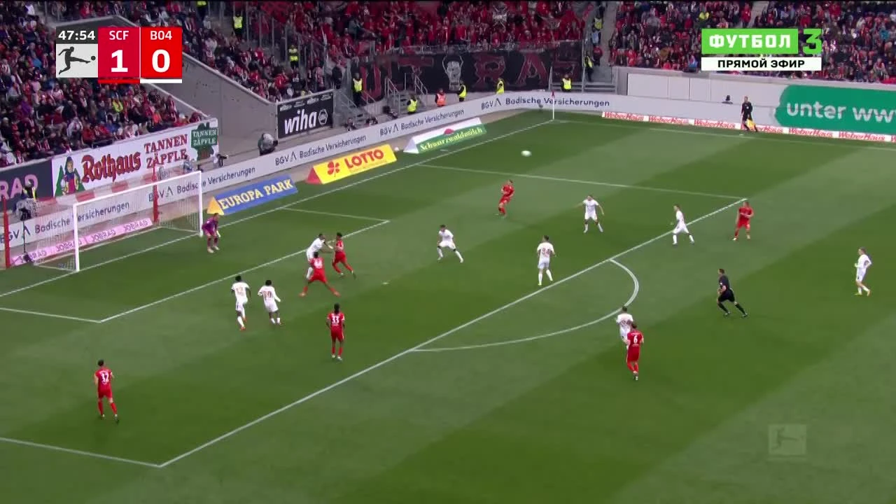 zaslepka skrotu video