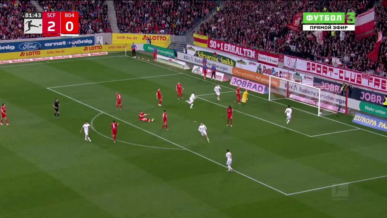 zaslepka skrotu video