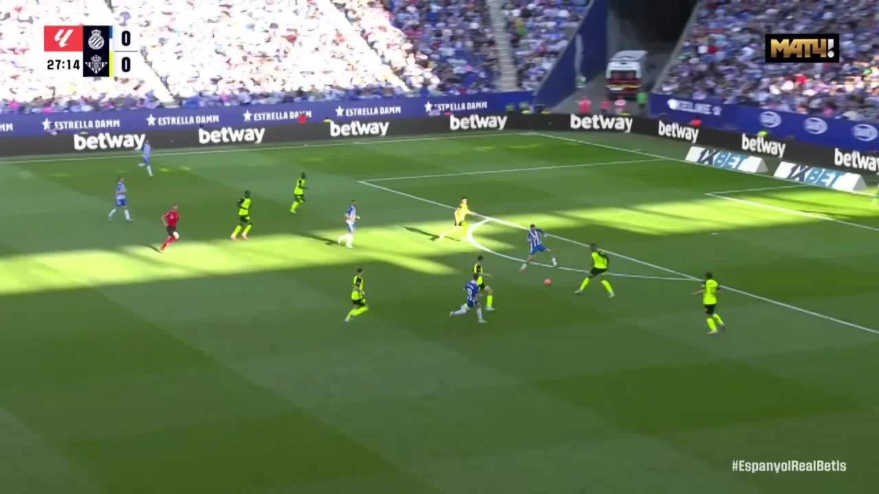 zaslepka skrotu video