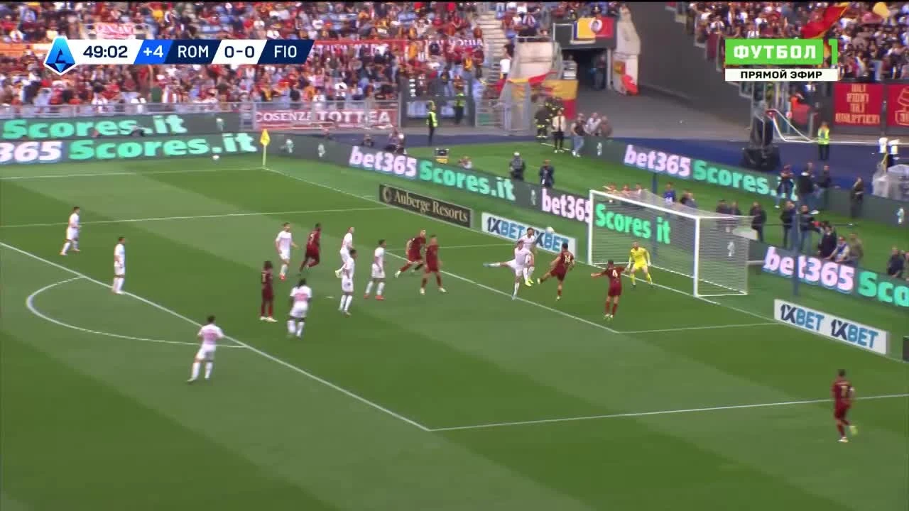 zaslepka skrotu video