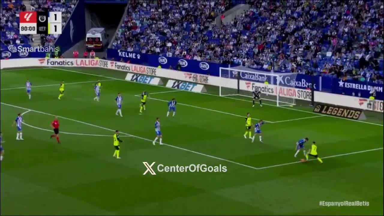 zaslepka skrotu video