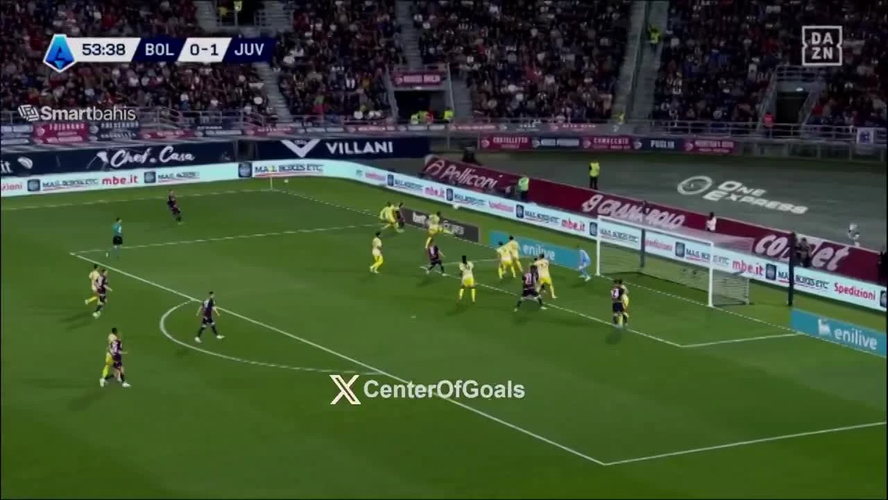 zaslepka skrotu video
