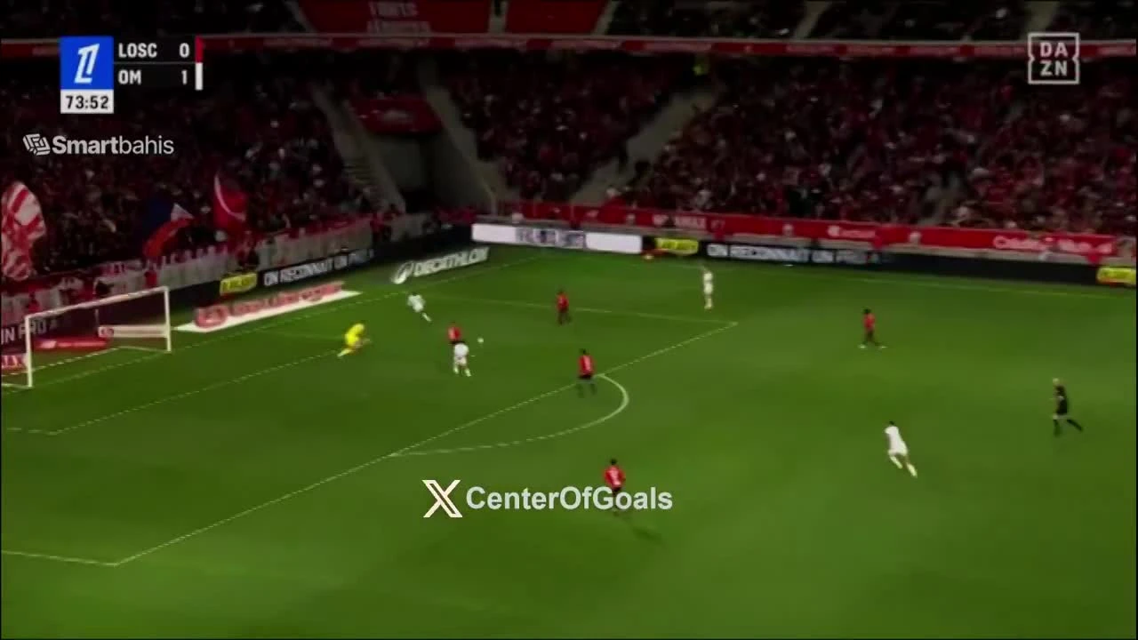 zaslepka skrotu video