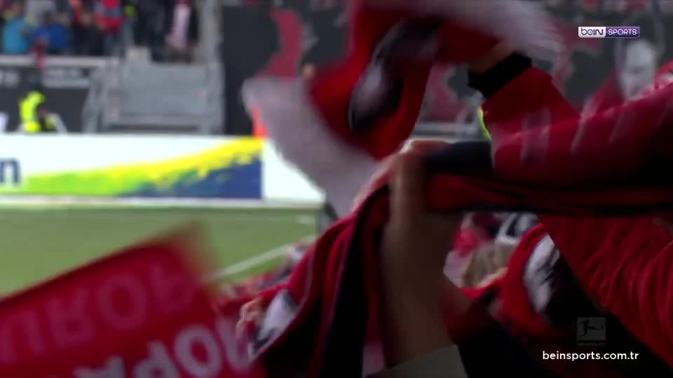 zaslepka skrotu video