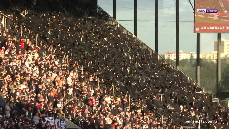 zaslepka skrotu video