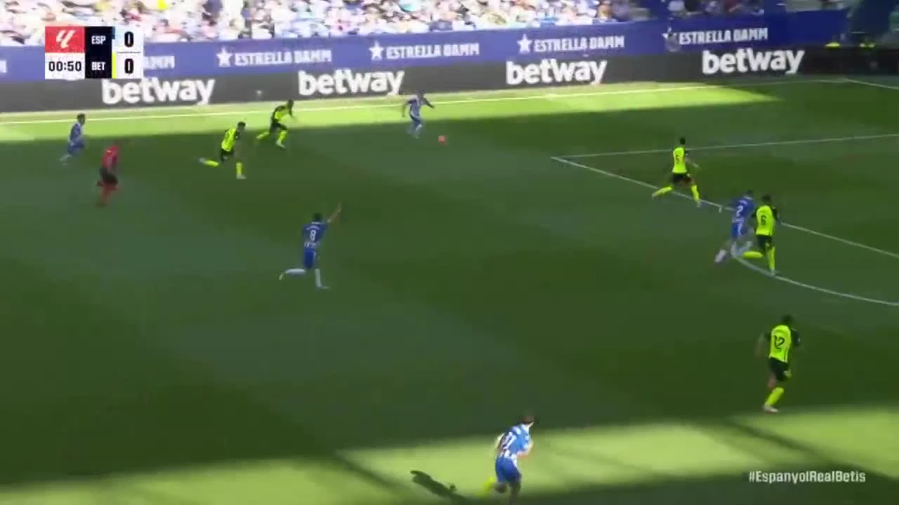 zaslepka skrotu video