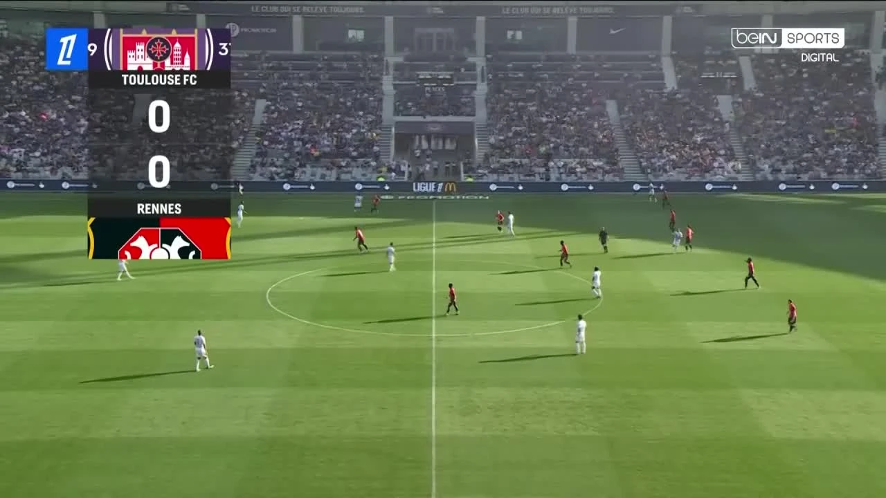 zaslepka skrotu video