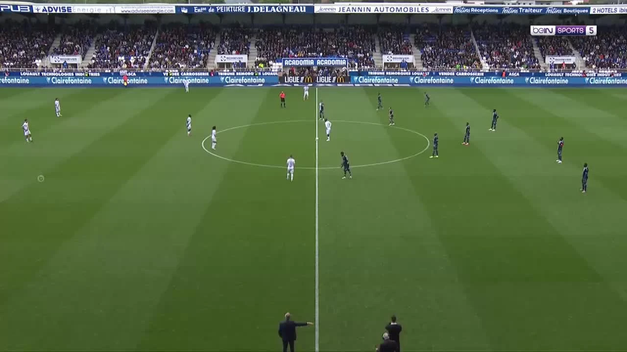 zaslepka skrotu video