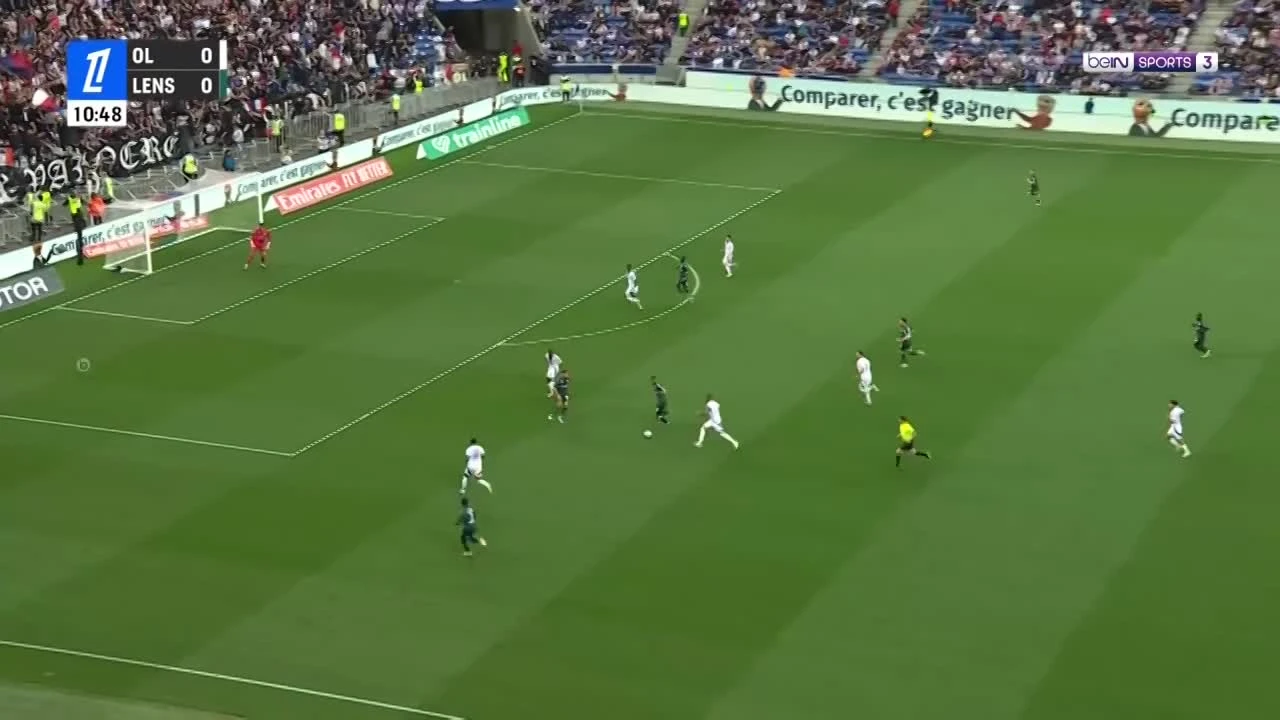zaslepka skrotu video