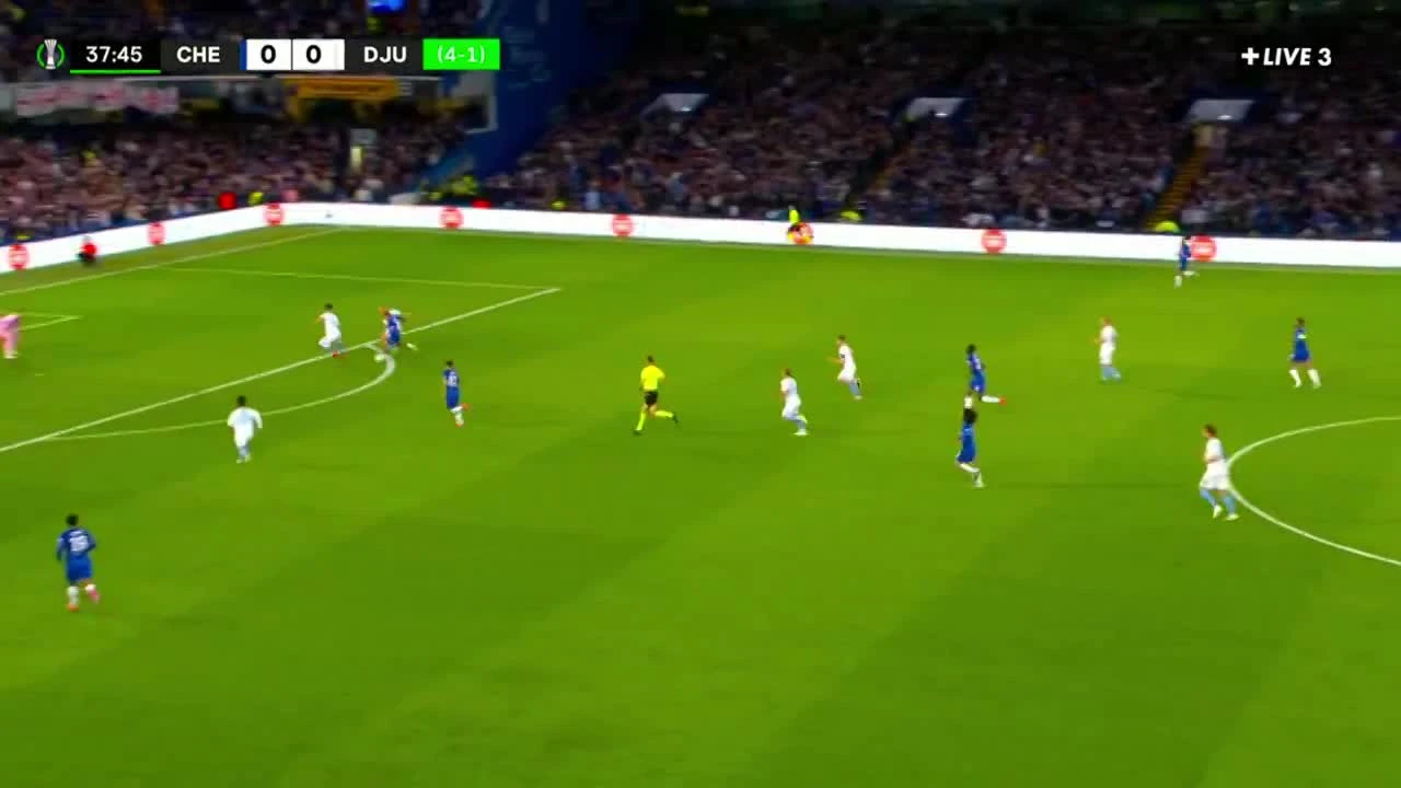 zaslepka skrotu video