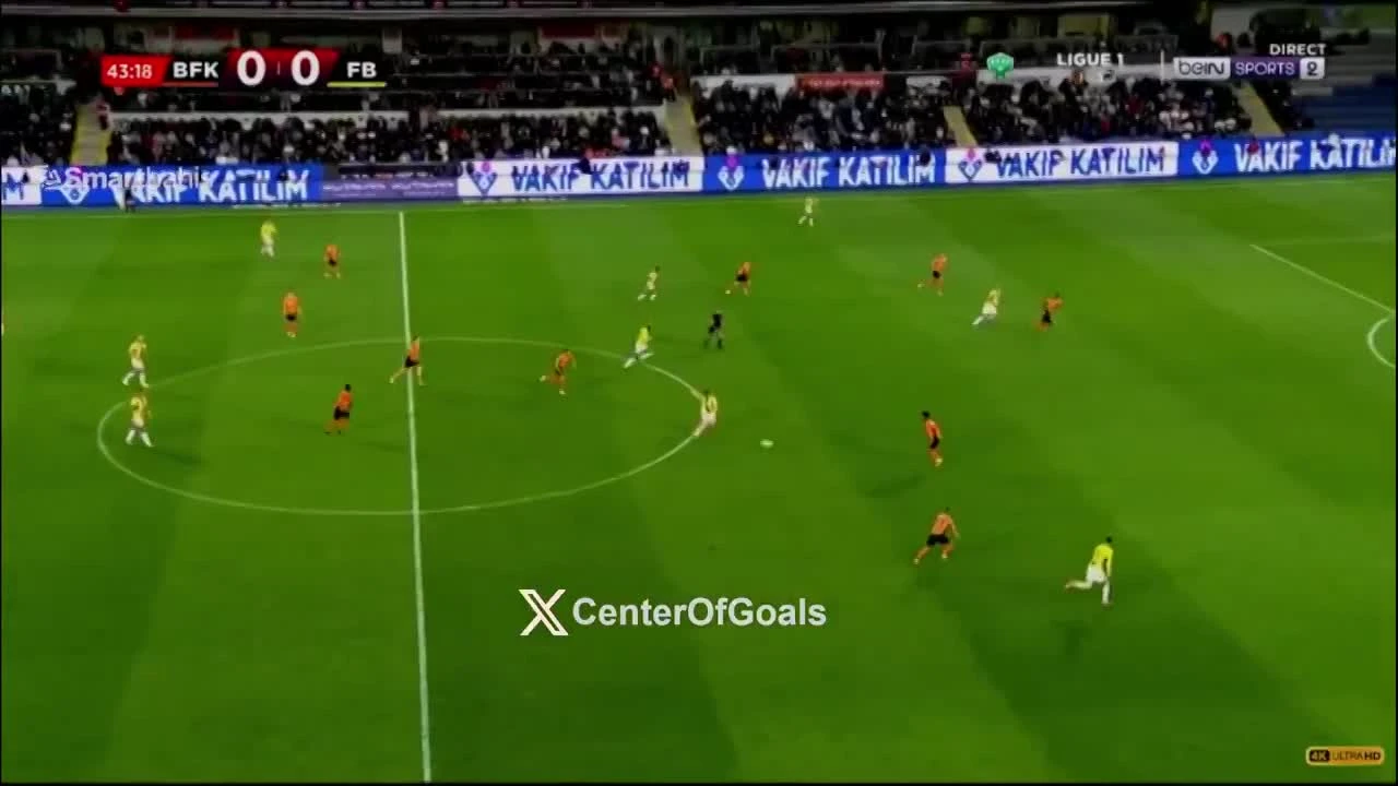 zaslepka skrotu video