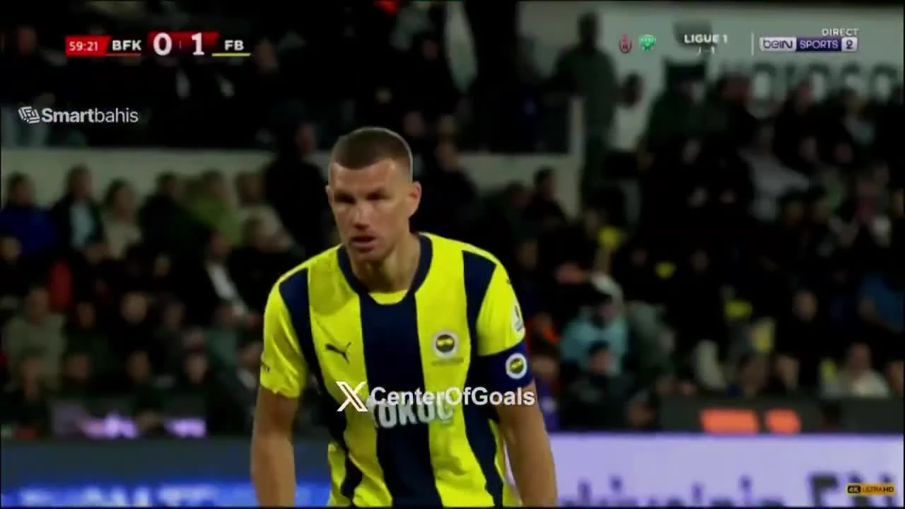 zaslepka skrotu video