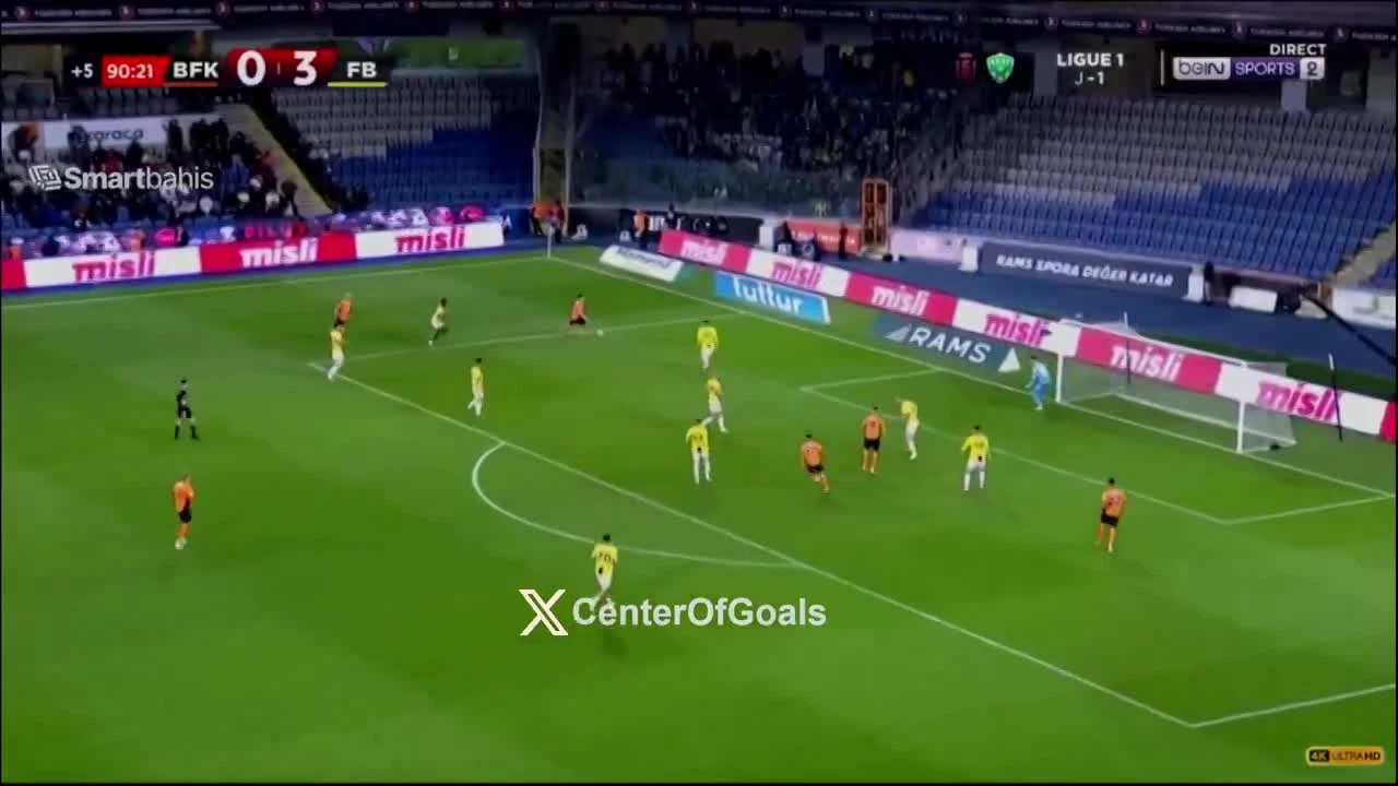 zaslepka skrotu video