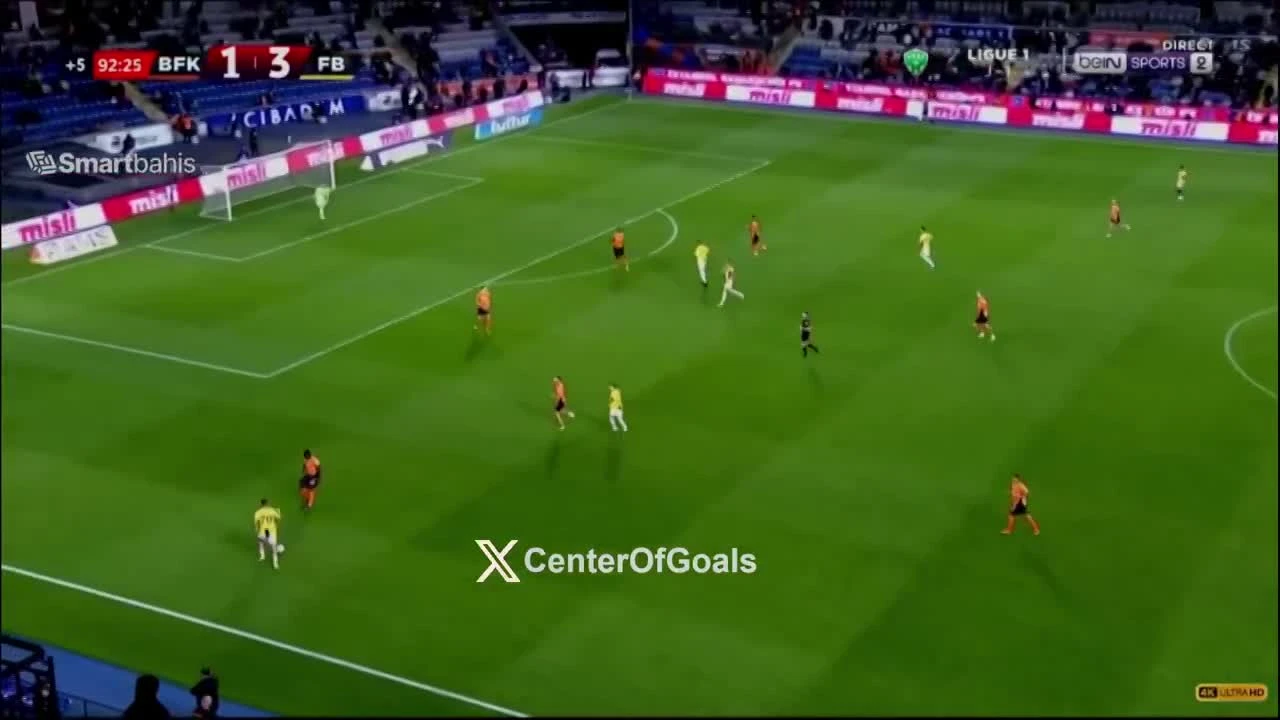 zaslepka skrotu video