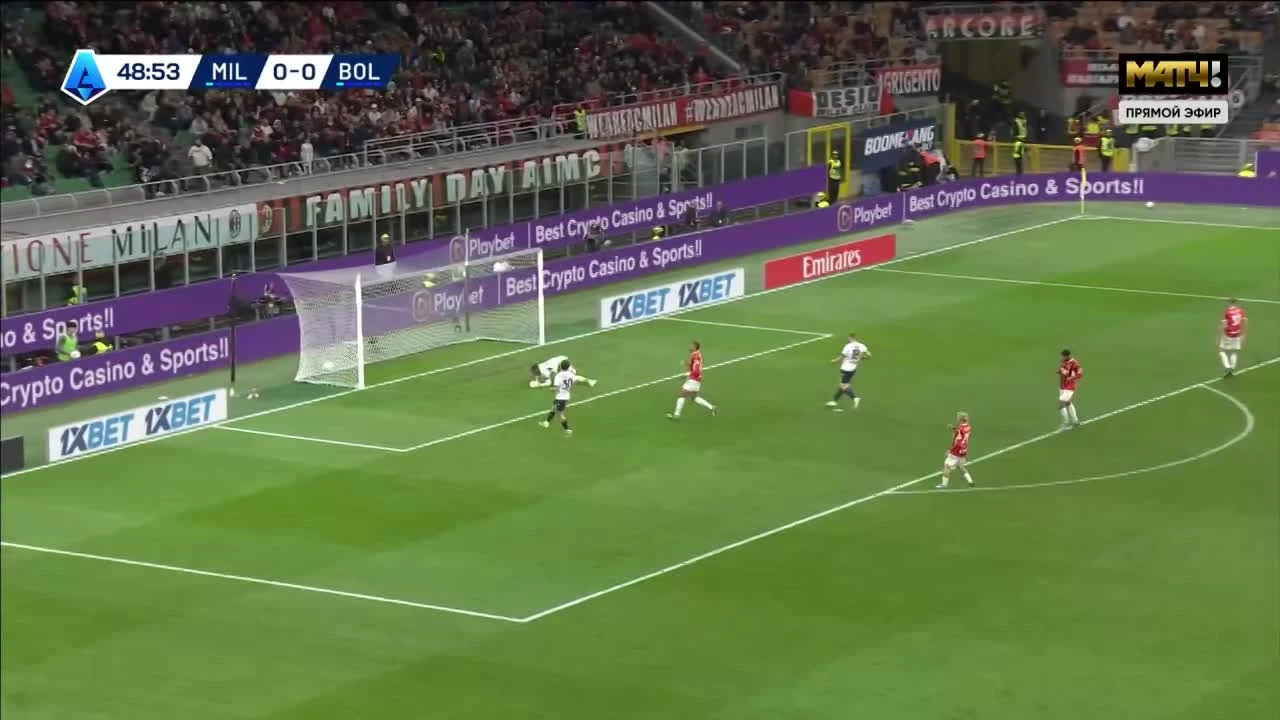 zaslepka skrotu video