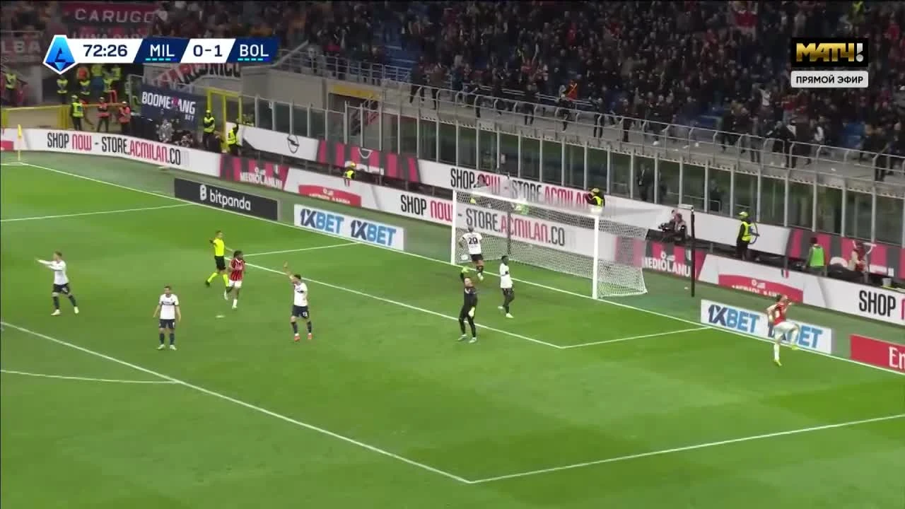 zaslepka skrotu video